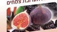 לעידוד פעילות המעיים