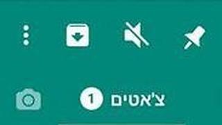 הנעץ החדש