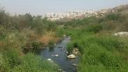 מי השופכין שהתגלו ליד מודיעין עילית