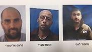 כמה מחברי החוליה