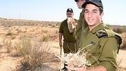חיילים בצאלים בעת העברת הפקעות