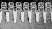 nanosheets