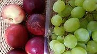 פירות