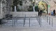 הכניסה נטולת הגלאים