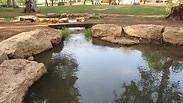 מעיינות פארק הירקון ועוד מחכים לכם לטבילה בימים החמים במרכז הארץ