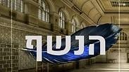 מבט אל מחלקה סגורה. "הנשף"