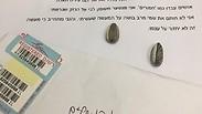 הגרעינים שנגנבו ומכתב החרטה