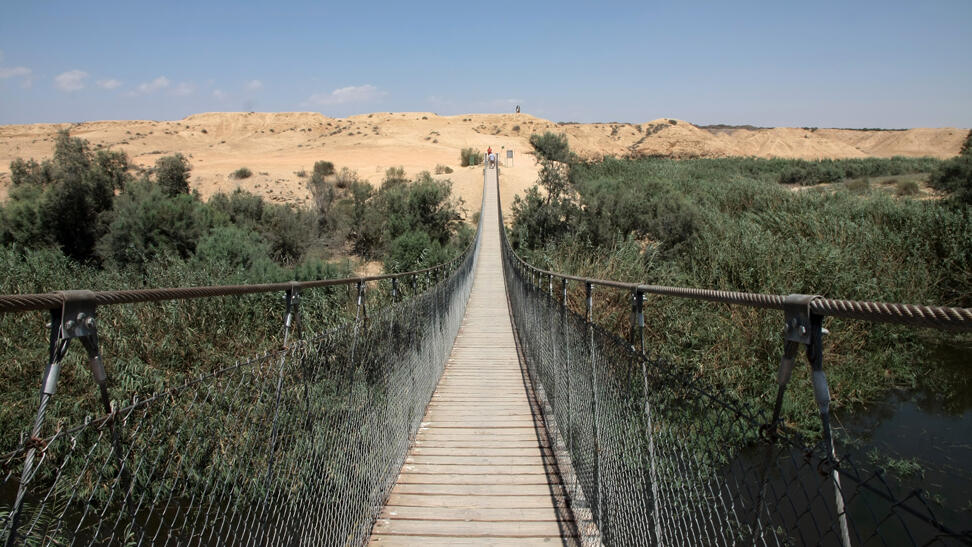 Le pont de singe suspendu au-dessus de Nahal Hashur