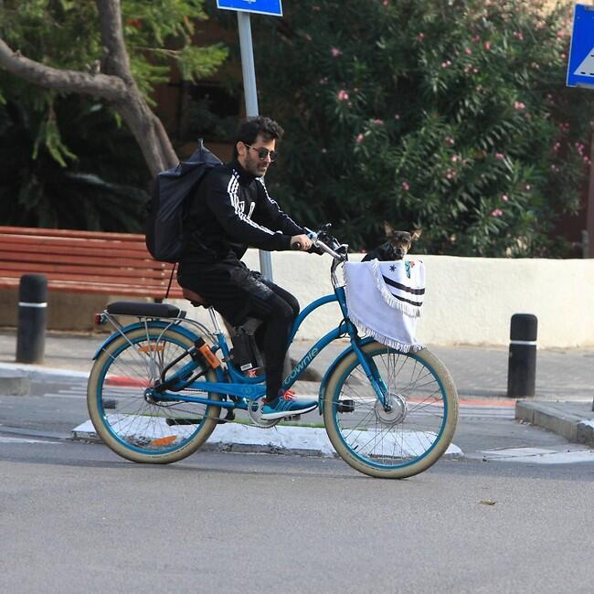 יהודה. פעם אחרונה בלי קסדה! (צילום: מוטי לבטון) יהודה. פעם אחרונה בלי קסדה!