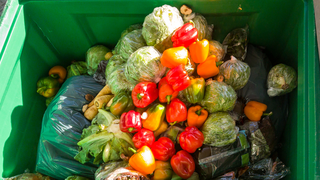 Big amounts of food thrown into the garbage 
