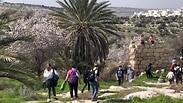 הגבעות הדרומיות של מודיעין