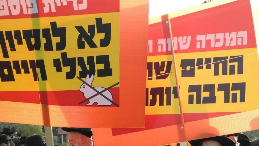 הפגנה בערד (צילום: אילנה קוריאל) הפגנה בערד