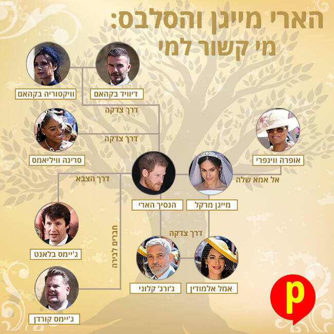 עבודתץ שורשים (צילום: Gettyimages) עבודתץ שורשים