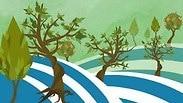 245 מיליון עצים נטעה קק"ל במהלך 116 שנות פעילותה