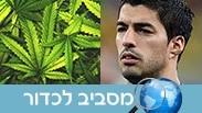 מסביב לכדור