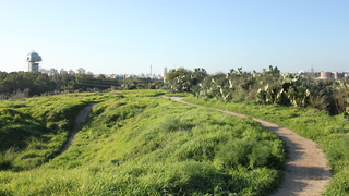 גבעת נפוליאון