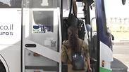 תחנת רכבת מודיעין מרכז