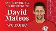 דוד מתאוס