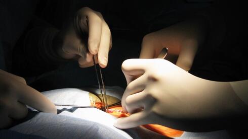 Israeli startup tackling illicit on the web organ trafficking, E-commerce