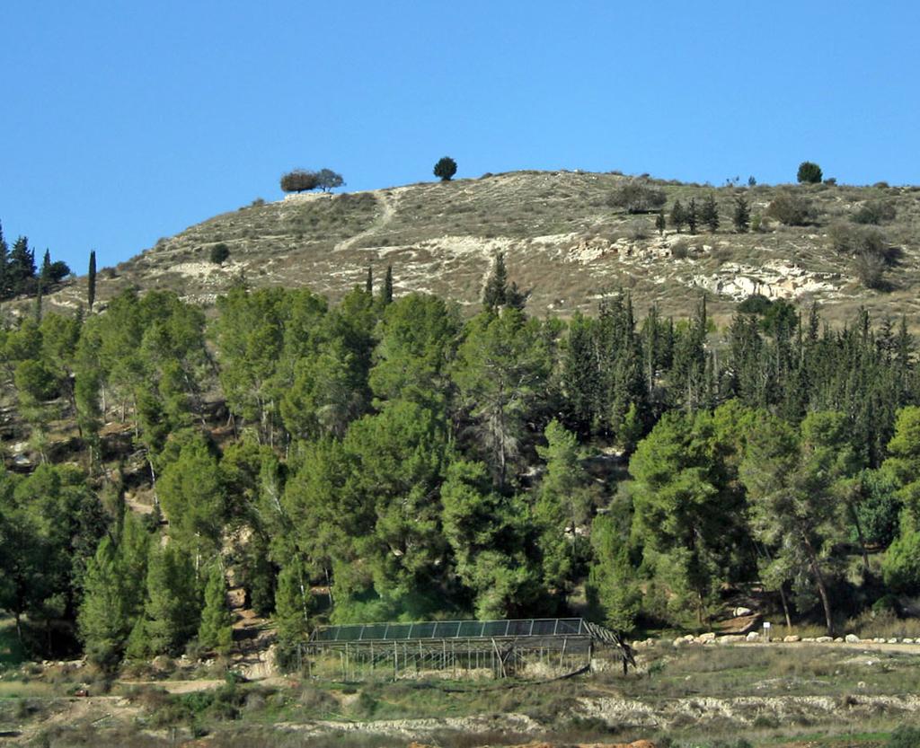 אטרקציות וגנים לאומיים: המלצות לטיולים בירושלים ובמרכז