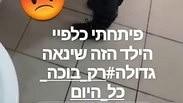 סייעת העלתה לאינסטגרם תמונה של ילד בוכה