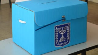 דובי כהן 
