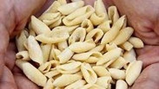 המטבח האיטלקי בחלוקה לאזורי בישול