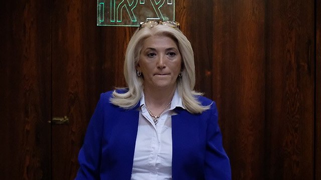 דיון מליאה כנסת ירושלים