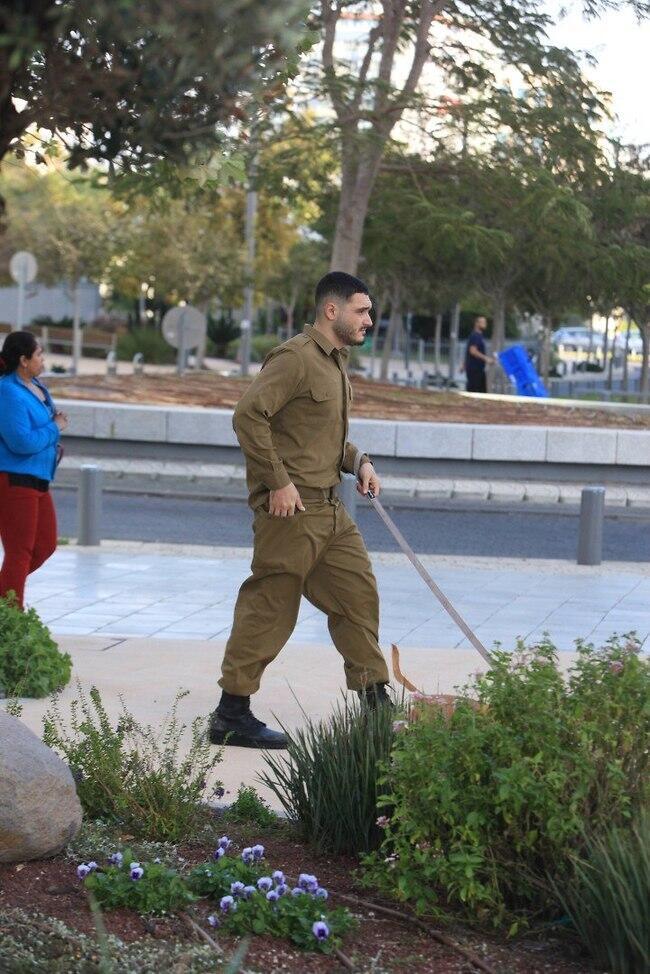 חייל, שפר הופעתך! (צילום: מוטי לבטון) חייל, שפר הופעתך!
