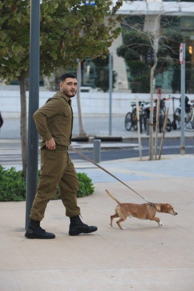 אנחנו בשלב הזה כבר היינו בדרך למשפט (צילום: מוטי לבטון) אנחנו בשלב הזה כבר היינו בדרך למשפט