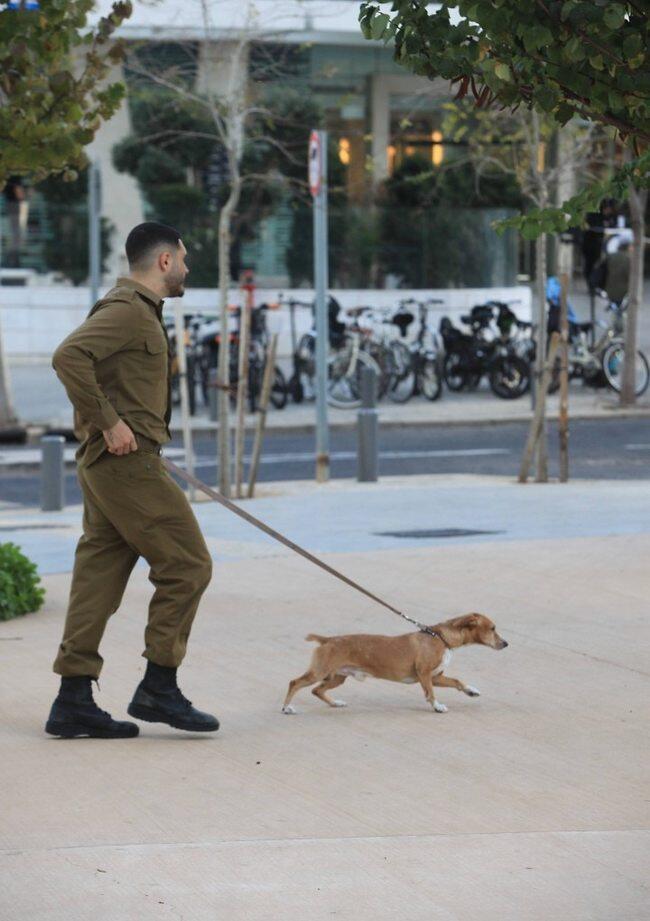 מנסה לשפר את ההופעה (צילום: מוטי לבטון) מנסה לשפר את ההופעה