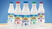 שטראוס יטבתה