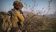 תרגיל חטיבת גבעתי בבקעת הירדן
