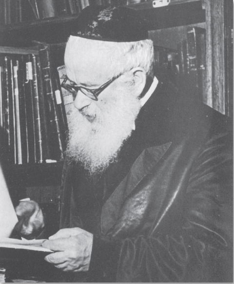 הרב הרצוג