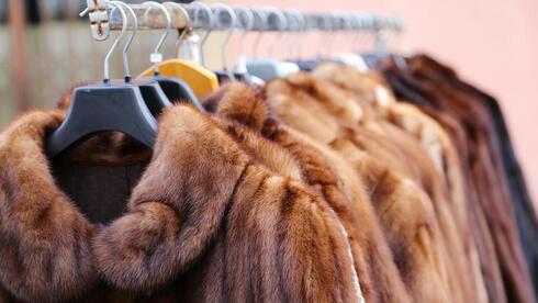 Окончательно: в Израиле запретили продавать изделия из натурального меха