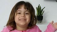 משי באביס 
