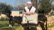 קמפיין החמורים בואטסאפ