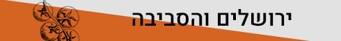 איור: גרפיקה ynet כותרת ביניים
