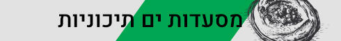 כותרות כותרת ביניים מסעדות אסייתיות