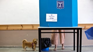 מצביעים תל אביב עם כלב