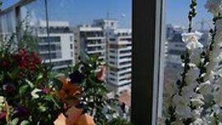 התחדשות עירונית
