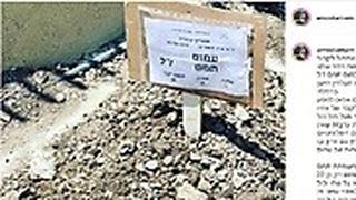 הפוסט של עמוס תמם