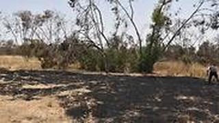 שריפה שריפות מועצה אזורית אשכול עוטף עזה