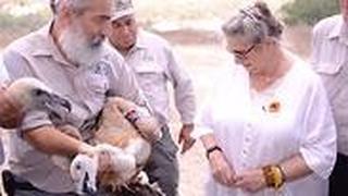 נחמה ריבלין עם יגאל מילר מרשות הטבע והגנים בחי בר כרמל