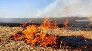 שריפות בכפר עזה
