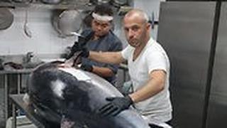 טונה במשקל 200 ק"ג