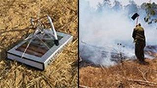 שריפה יער בארי ספר ממולקד