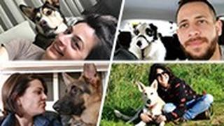 (למעלה)אלכס ואוליבר, שירן וג'ואי (למטה) שיר וננה, שונית ורוקי