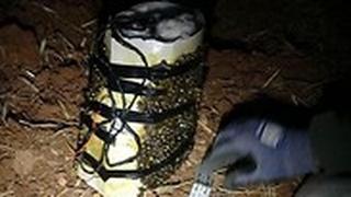 סיכול פיגוע תופת על ידי שב"כ