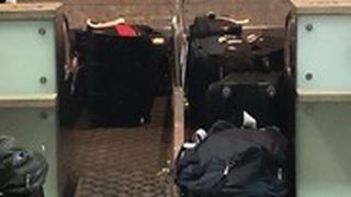 בשיא העונה: שיבושים בטיסות בנתב"ג בשל תקלה במערכת מיון המזוודות